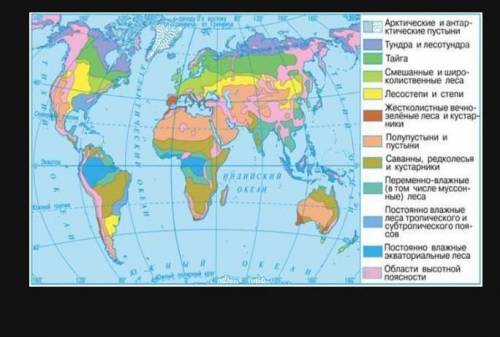 Выполнить работу по контурной карте отметить цветоа арктический и суарктический пояс