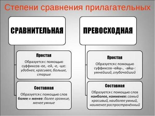 7.Прилагательное в превосходной степени имеется в предложении: а) Самая лучшая защита деревьев от мо