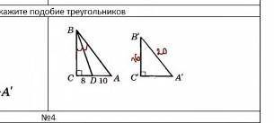 Докажите подобие треугольников.