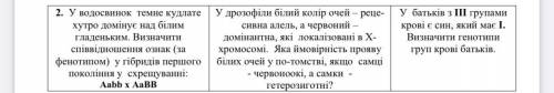 2. У водосвинок темне кудлате хутро домінує над білим гладеньким. Визначити співвідношення ознак (за