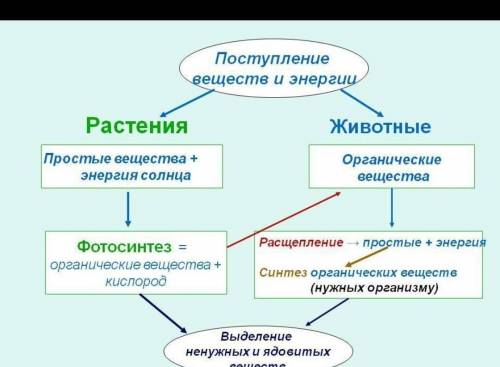 Транспорт метательных вещей у растений и животных составить концпект ( )