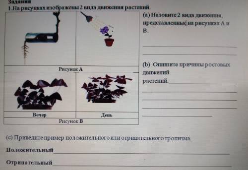 Я не поняла первое задание обьясните