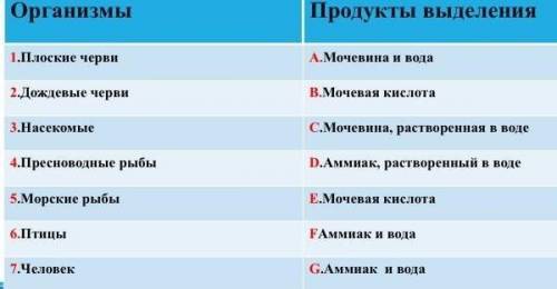 Соотнесите представителей безпозвоночных и позвоночных организмов с продуктами выделения