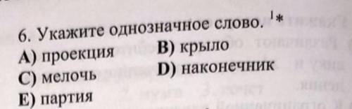 Укажите однозначное слово (с объянение )