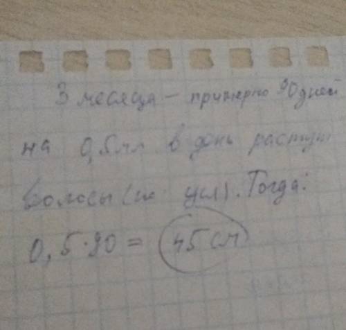 Если 0,5 милиметра в день растут волосы,то за 3 месяца на сколько см отрастут?