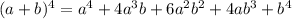 (a+b)^4 = a^4 + 4a^3b + 6a^2b^2 + 4ab^3 + b^4