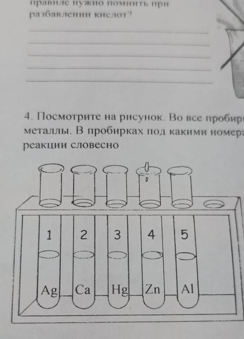 Посмотрите на рисунок. Во все пробирки налит раствор соляной кислоты HCI. В них поместили металлы. В