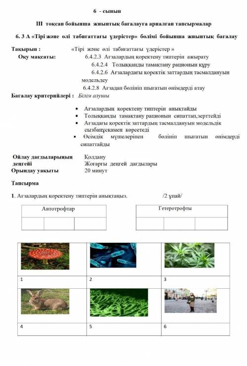 Тапсырма 1. Агзалардын коректену типтерiн аныктаныз./2 упай/АвтотрофтарГетеротрофты14