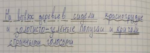 подчеркнуть главные и второстепенные члены предложения.на ветвях деревьев сидели красногрудые и золо