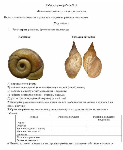 Решите Лабораторную работу по биологии.