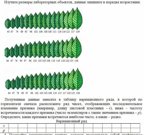 Лабораторная работа по биологии