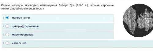 ответьте у кого есть ответы скажите