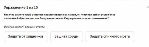 Наличие скелета у рыб считается прогрессивным признаком, он позволил рыбам вести более подвижный обр