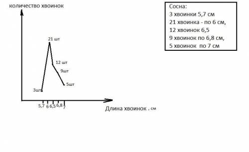 Выполнить лабораторную работу Изменчивость у растений используя хвоинки сосны или елки (колючки) (