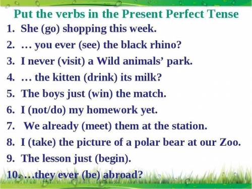 Выполните упражнение по Present Tense