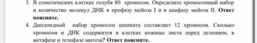 Можете решить задачи по мейозу и митозу 3 и 4 на картинке