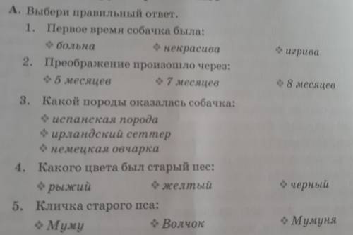 е игрива - 8 месяцев A. Выбери правильный ответ. 1. Первое время собачка была: больна некрасива 2. П