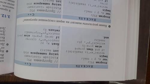 По примеру паскаль.Нужно сделать B и D(нудно написать программу.