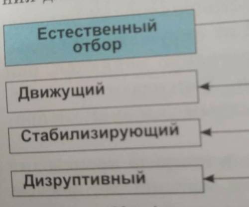 Сделать из него таблицу и привести примеры.