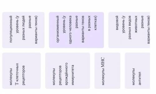 Сопоставьте молекулы и уровни, на которых реализуется их генетическая вариабельность.