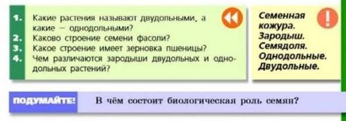 нужно ответить на 1,2,3 и 4 вопрос и на подумайте НАДО СДЕЛАТЬ В ТЕЧЕНИИ 15 МИНУТ, ТАК ЧТО