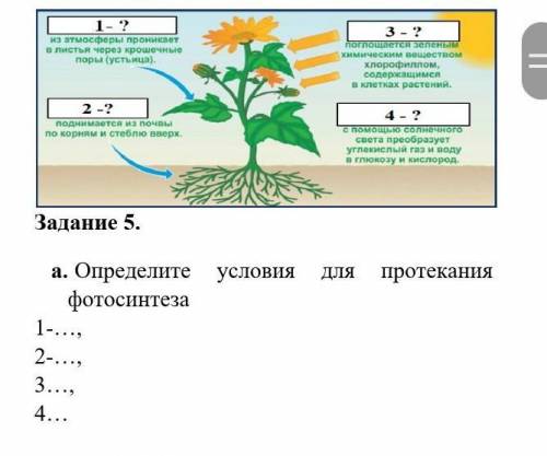 Естествознание 5 класс масса. Формулы по естествознанию 5 класс. Задачи Естествознание 5 класс. Сор по естествознанию 5 класс.