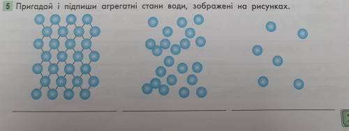 5 Пригадай і підпиши агрегатні стани води, зображені на рисунках.