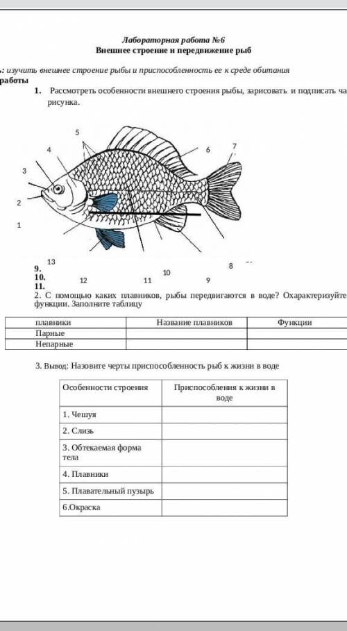 Биология лаборотоная работа 7 класс по внешнему строению рыб