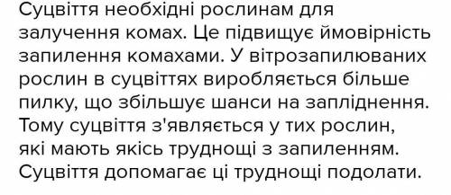 Яке значення мають суцвіття в процесі ?Обгрунтуйте вашу думку