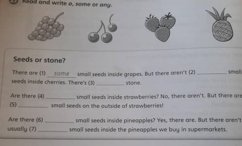 Ex 27 p 62 activity book 5class