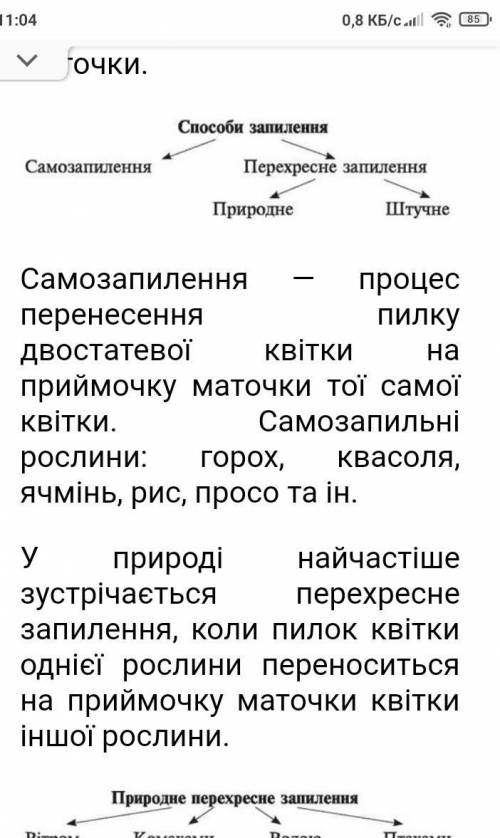 Як рослини пристосовуються до різних ів запилення