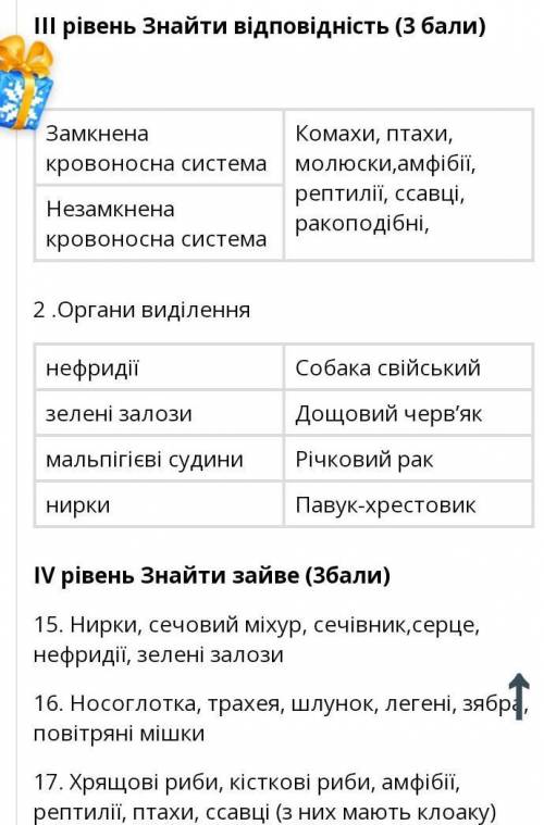 Напишіть відповіді, на 3 та 4 рівень