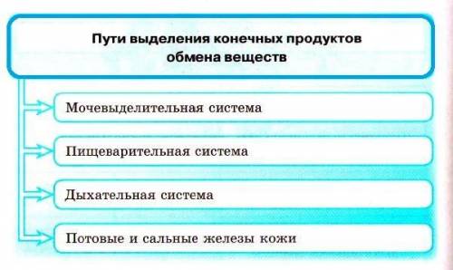 Конспект на тему продукты выделения от жизнедеятельности организмов