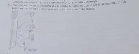 Рассмотрите рисунок, опишите его по плану: 1)название отдела нервной системы. 2)где расположены цент