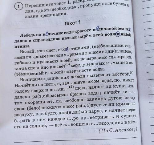 Спишите текст, вставьте буквы и расставьте знкаи препинания