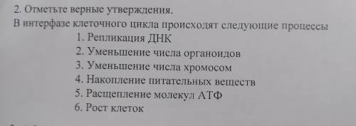 В интерфазе клеточного цикла происходят следующие процессы