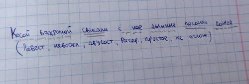 синтаксический разбор косой бахромой свисали с неё дымные полоски дождя