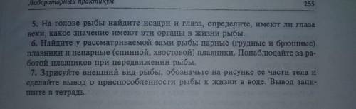 Нужно написать в виде лабораторной работы