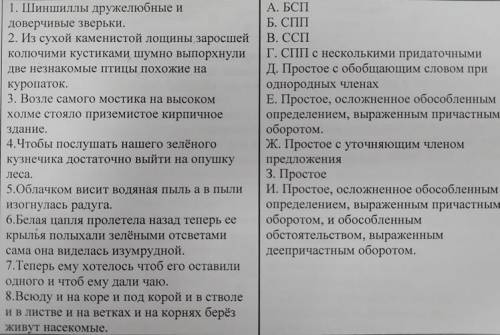 Сопоставить предложения с буквами