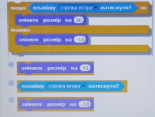 Вкажи на умову в базовій структурі розгалуження повної форми в середовищі Скретч