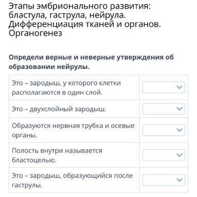 Определи верные и неверные утверждения об образовании нейрулы. Это – зародыш, у которого клетки расп