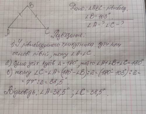 Кут при вершині рівнобедреного трикутника дорівнює 103*.Знайдіть всі інші кути трикутника. ( и рисун