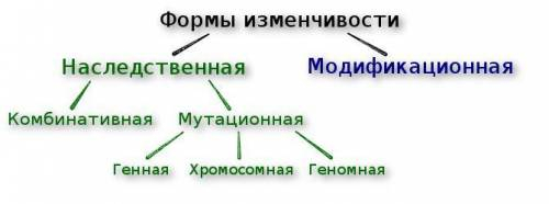 11. Заполните схему ВИДЫ ИЗМЕНЧИВОСТИ !!