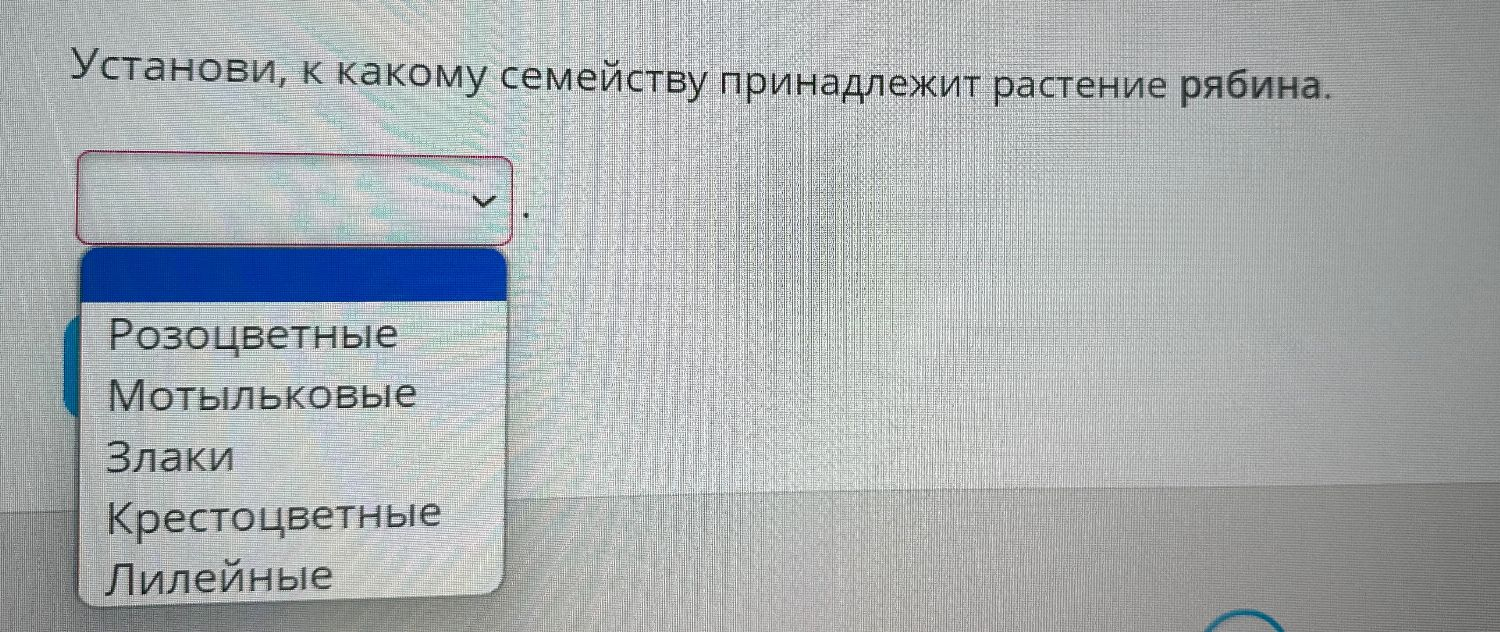 очень легко нужно просто это все и всае вчсе да это очень легко может ты просто будешь да Действие р